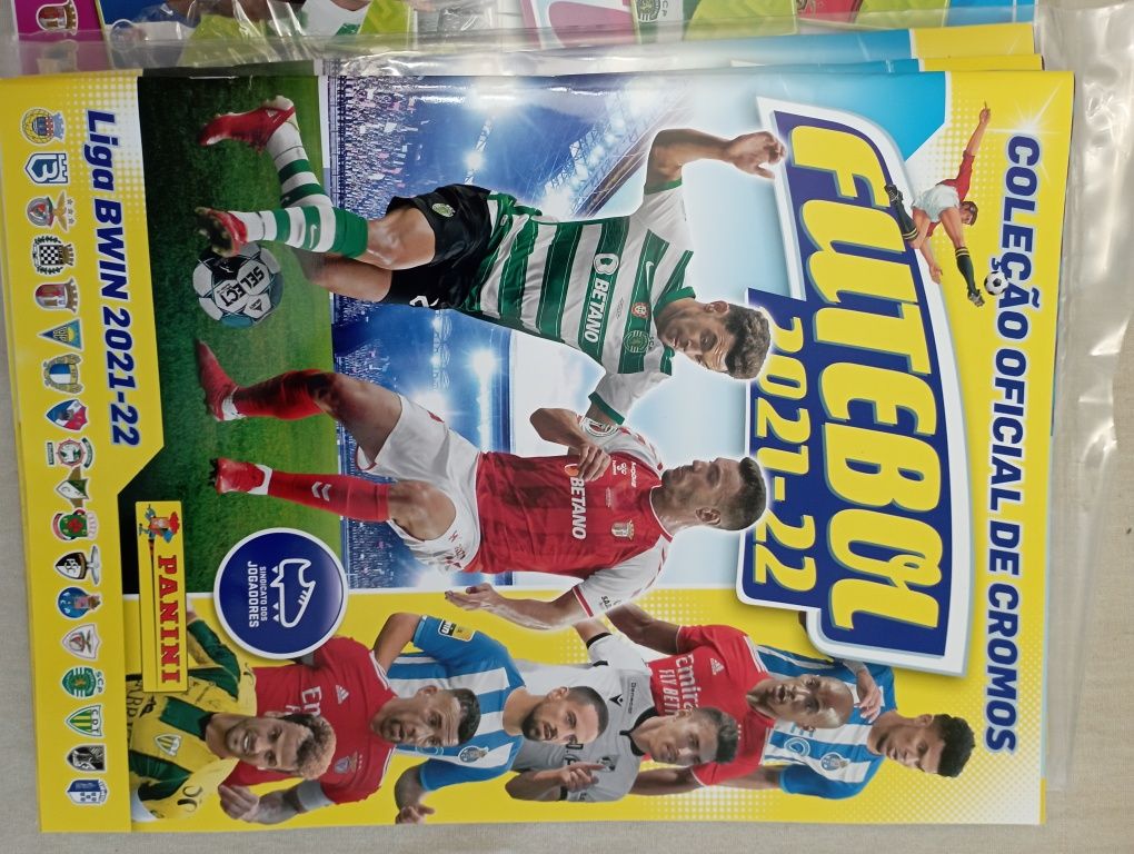 Cadernetas Panini Futebol