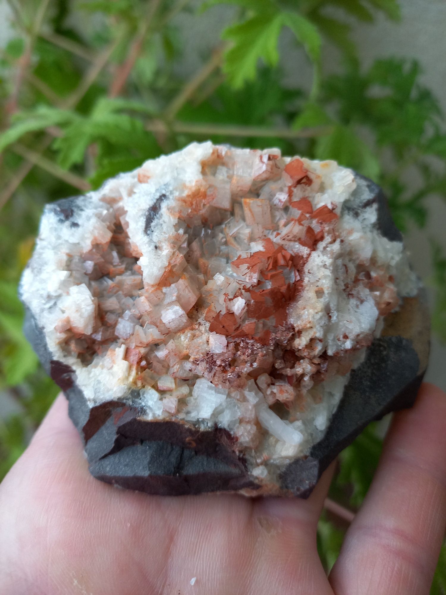 Minerały dolomit,ankeryt na sferosyderycie