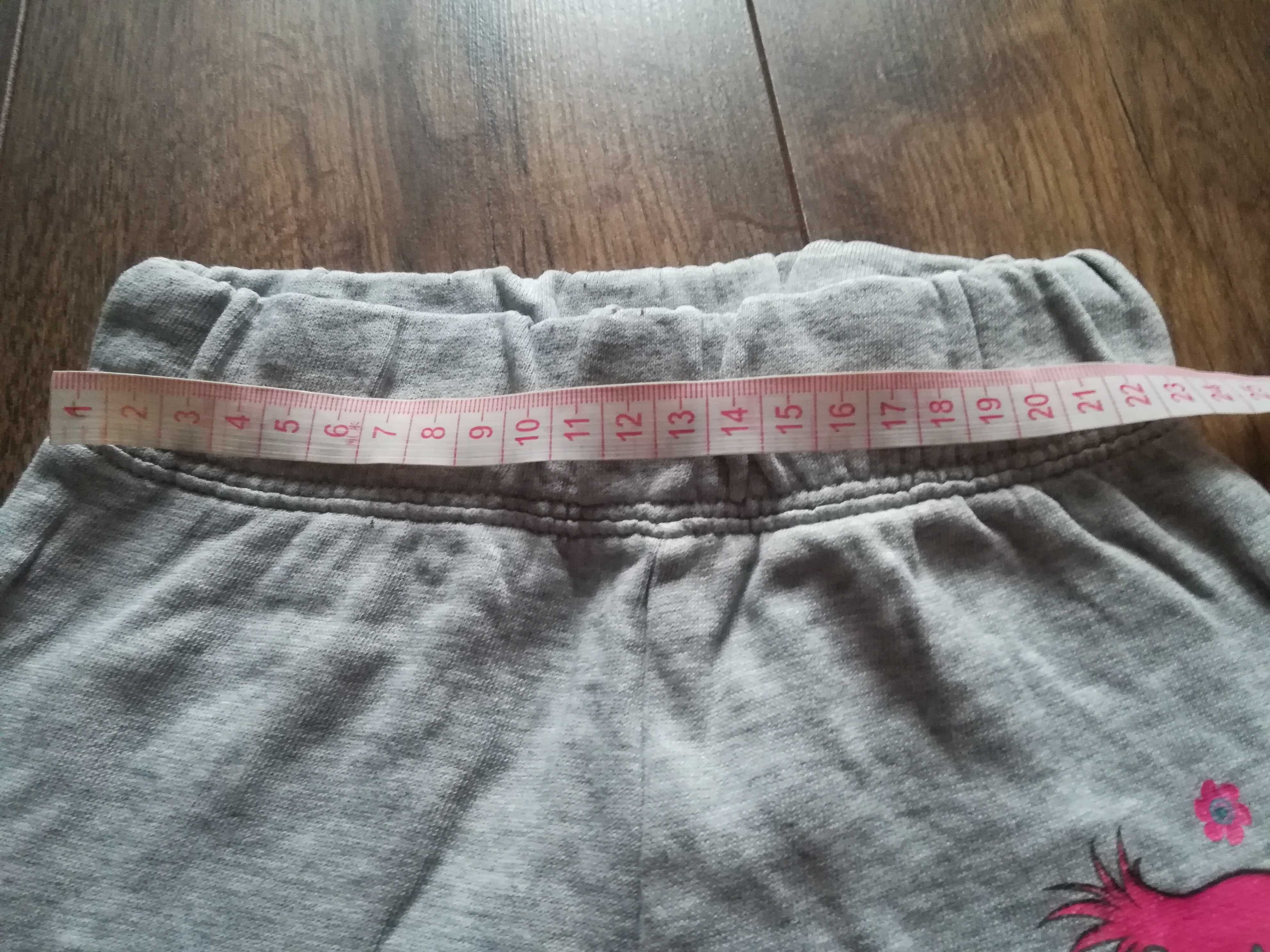 Wygodne szare spodnie dresowe dres z Poppy z Trolls R. 104/110