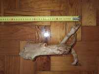 Troncos 26cmm a 60cm
