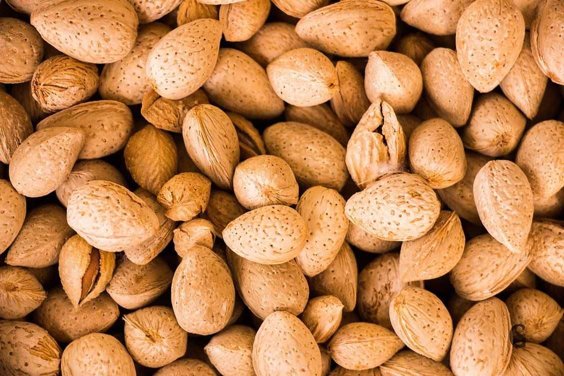 Amêndoas Naturais e Frescas: Sabor Autêntico da Quintinha Vale da Mó
