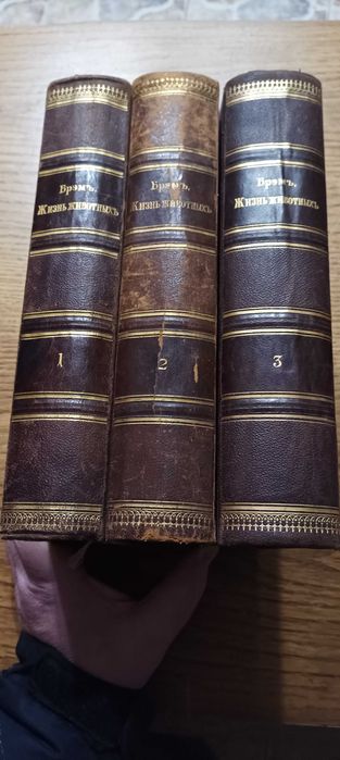Брэм А.Э. Жизнь животных Брэма . В 3 томах. Издательство Просвещение
