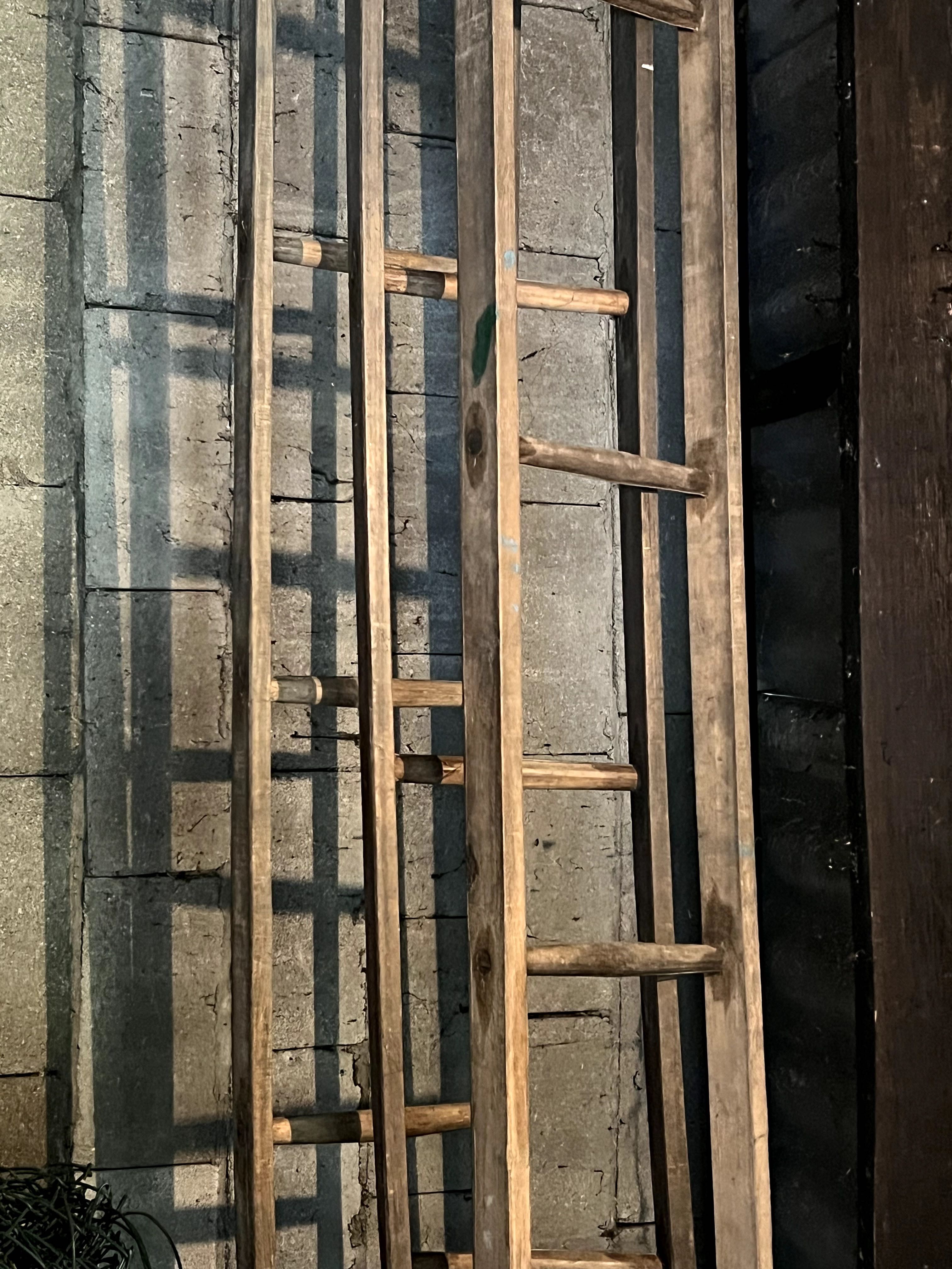 6 escadas em madeira de vindimar + arame de ramadas