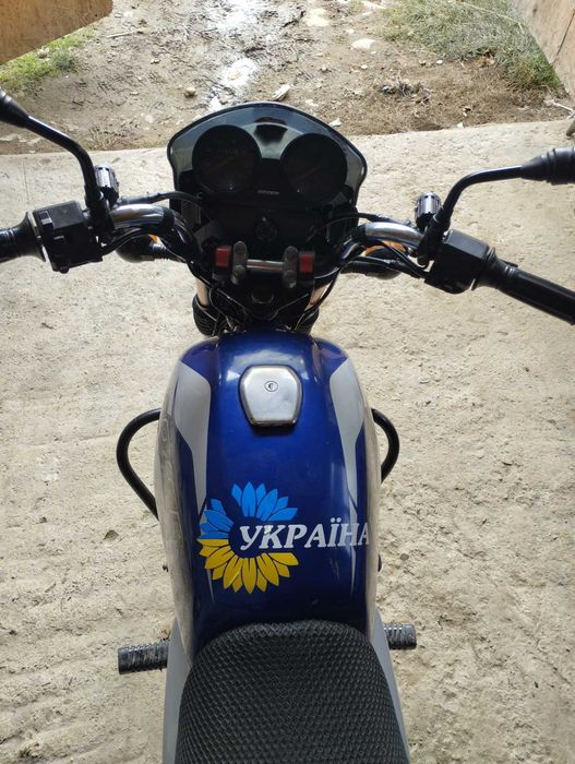 Продам баджач боксер 150