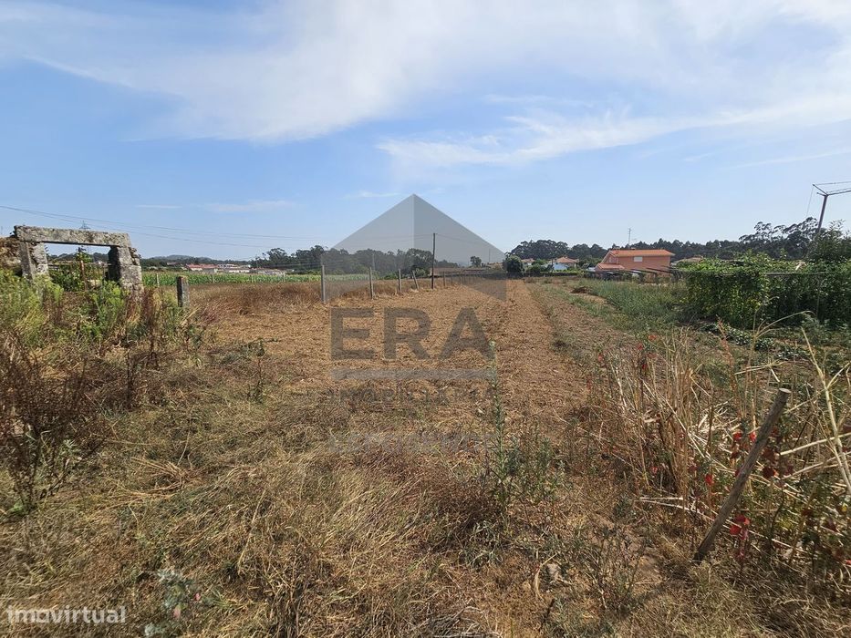 Terreno de construção em Palmeira de Faro