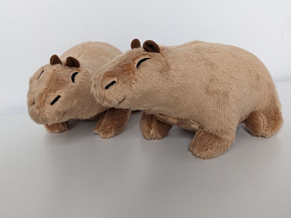 Capybara. Капібара. Капибара іграшка