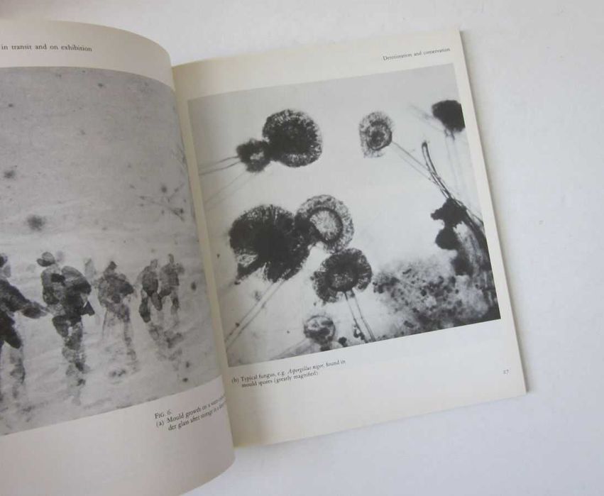 ARTE & Restauro - Vários Livros