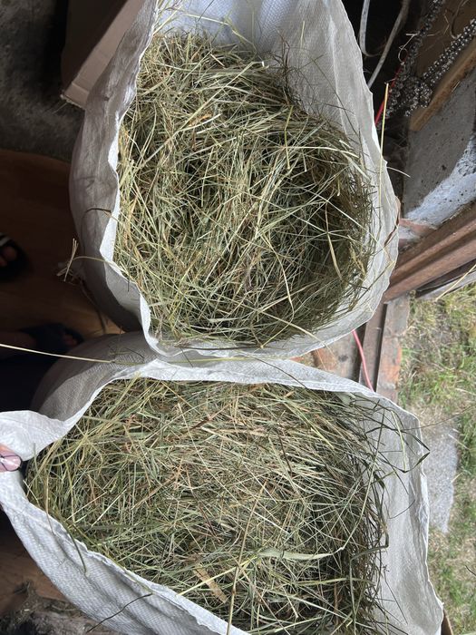 Sianko ekologiczne 4 kg