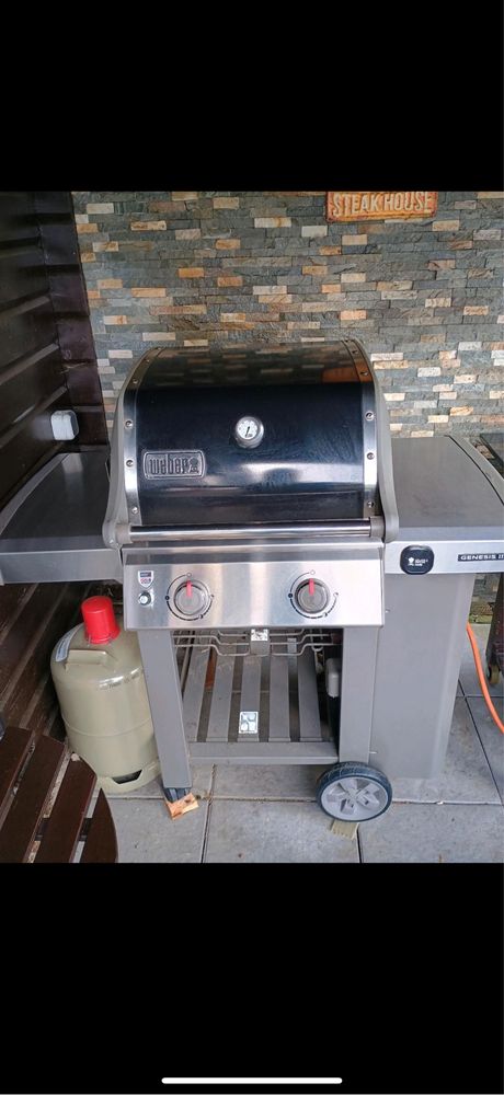 Grill gazowy Weber Genesis II E-210