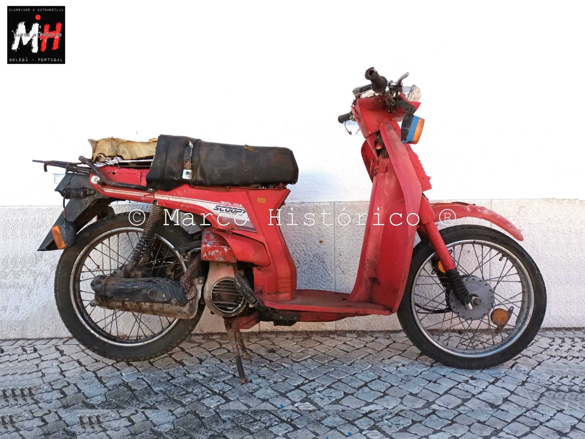 Honda Amigo PF50, Honda Camino e Honda Scoopy 50