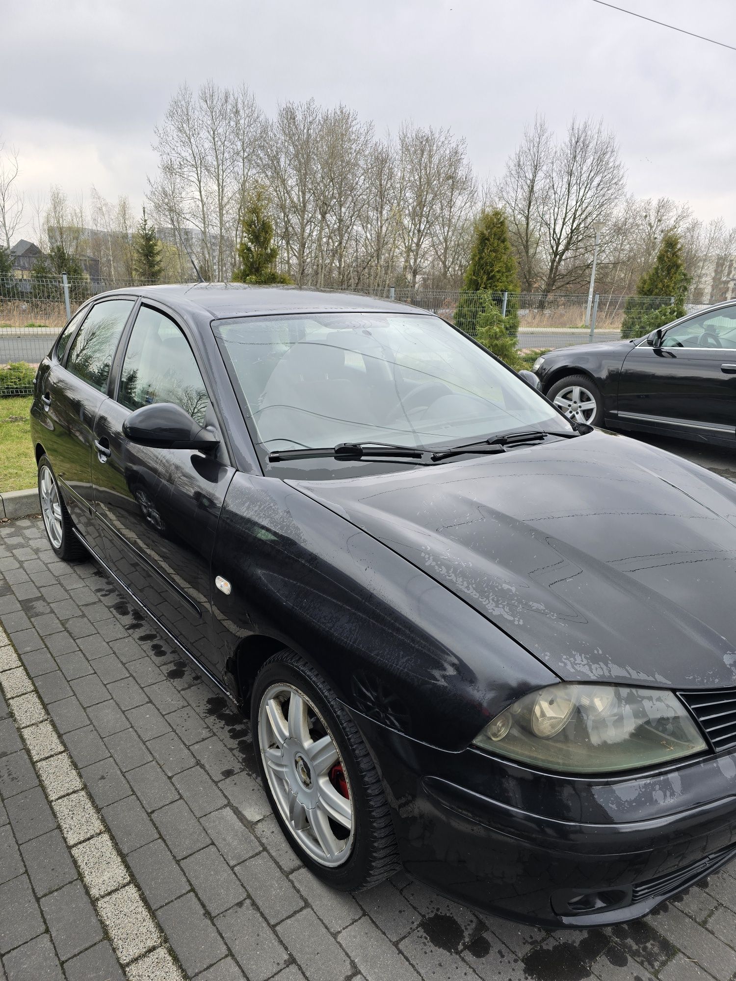 Seat Ibiza 1.9tdi ASZ 131km