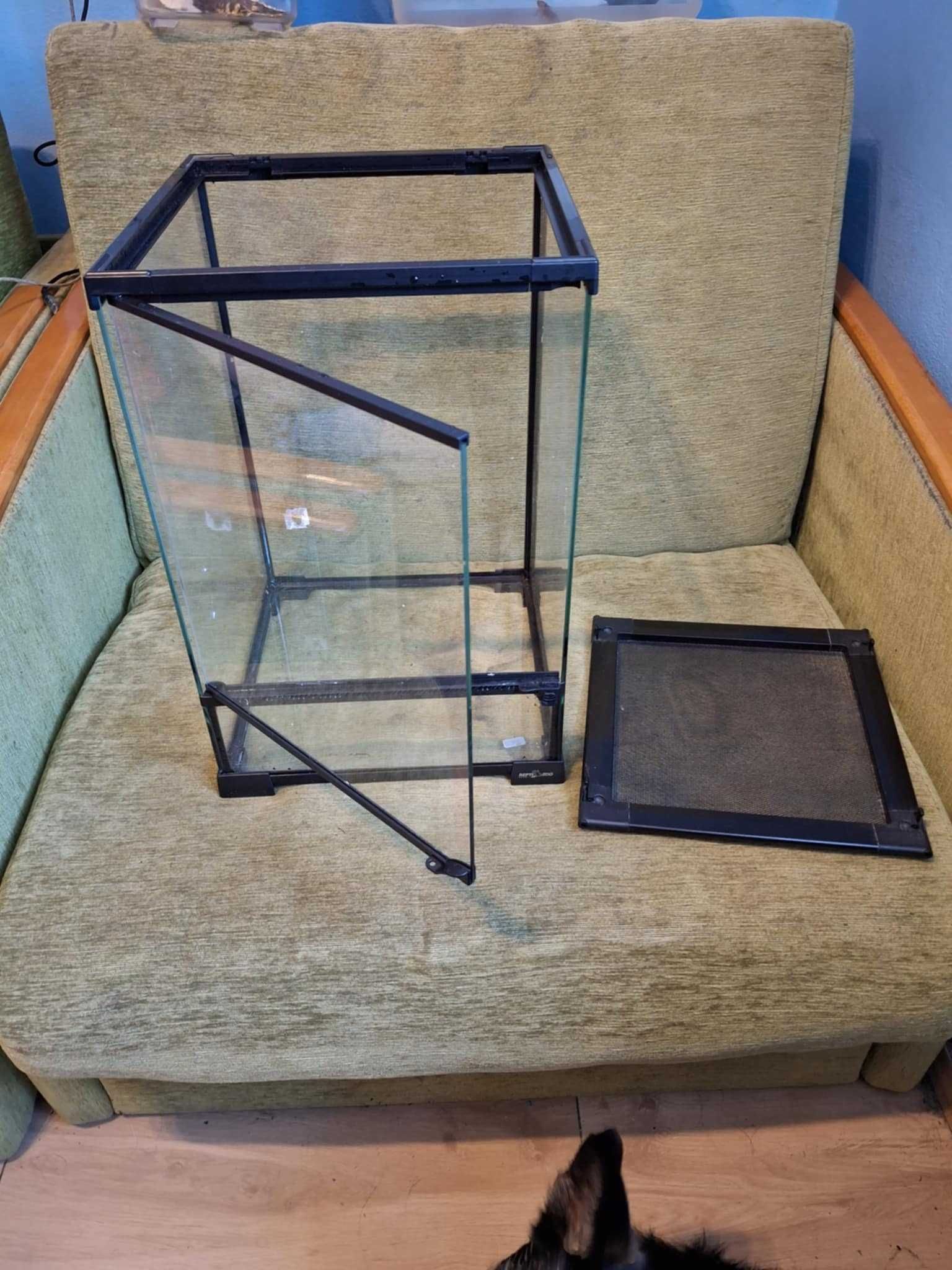 Gekony orzęsione+terrarium z wyposażeniem