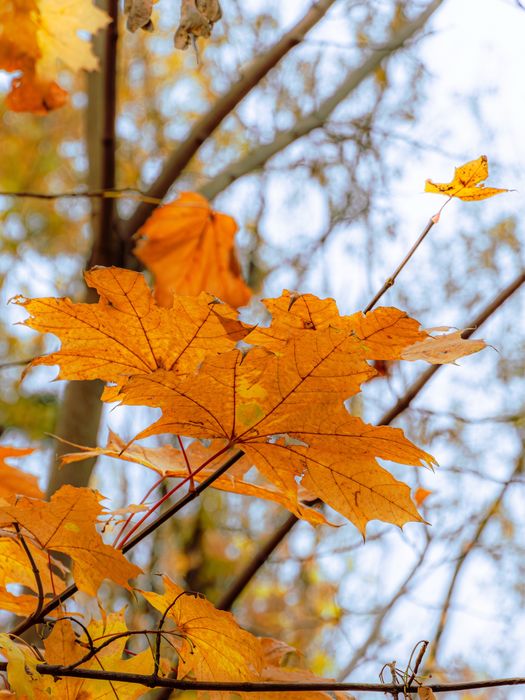 Фотограф Харьков 700грн/час. Sony Alpha A6400