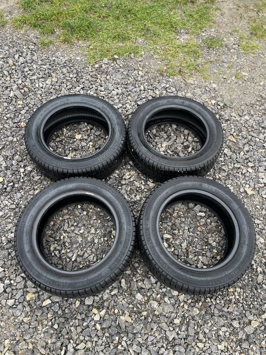 Opony zimowe 205/55 R16” Pneuman Alpine MS4