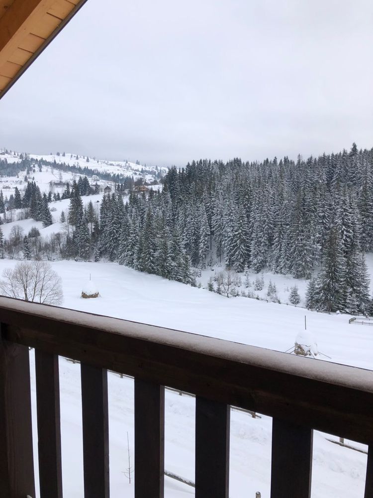 Holiday House Яблуниця
