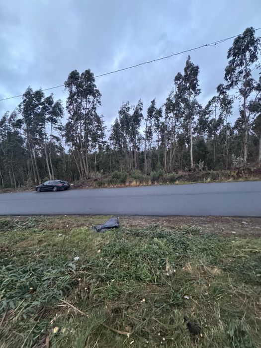 Vendo Terreno Canedo