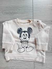 Bluza 62 myszka Mickey