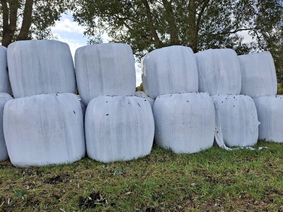 Sprzedam słoma siano sianokiszonka