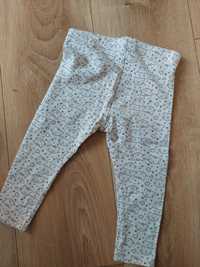 Legginsy w koty 74/80