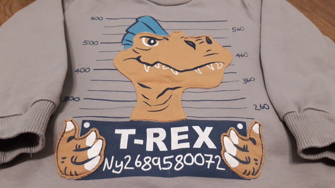 Bluza T REX dinozaur Karen 86 szara
