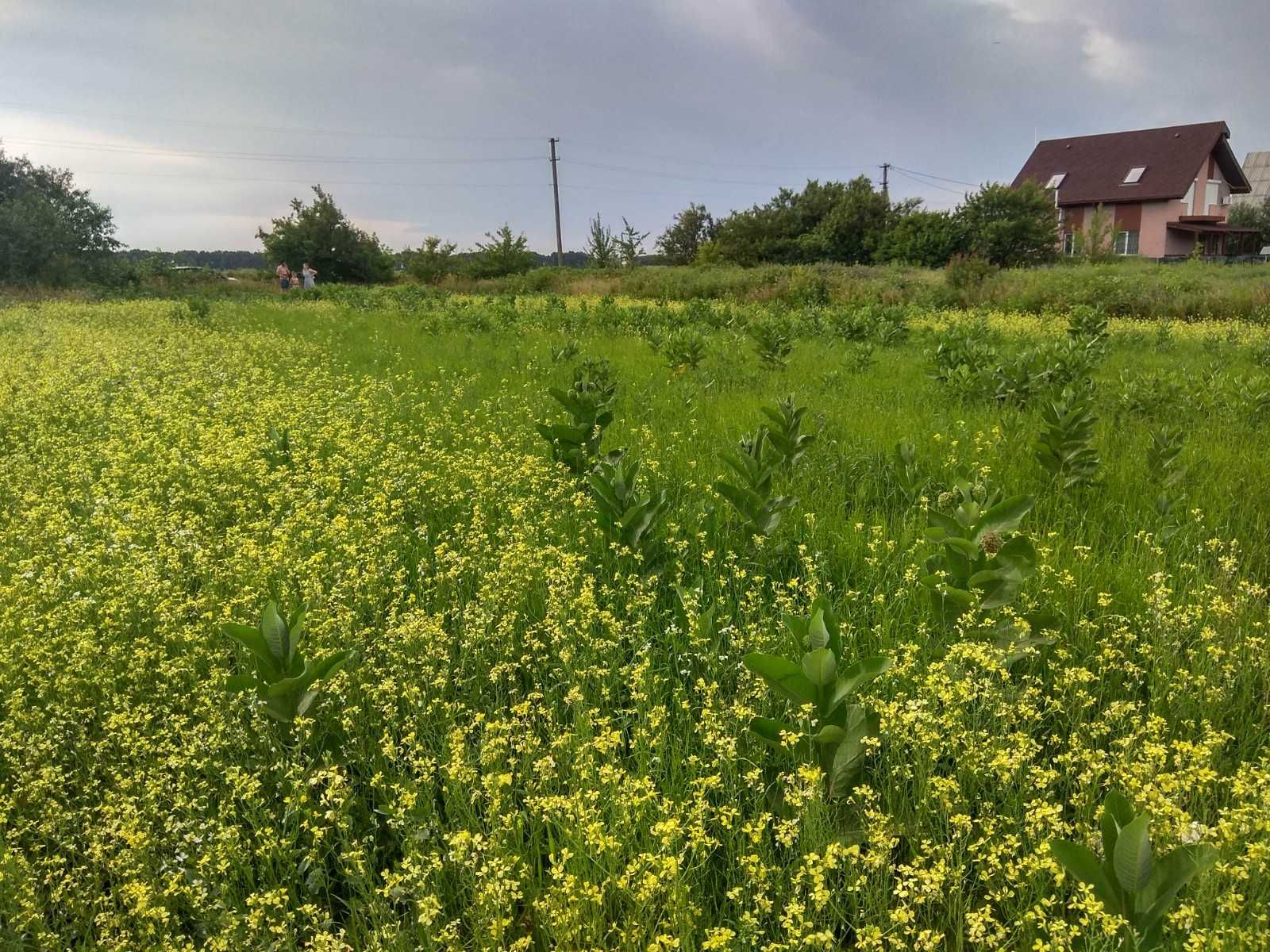 Продажа участка земли под жилую застройку. с.Стайки Кагарлыкский р-н