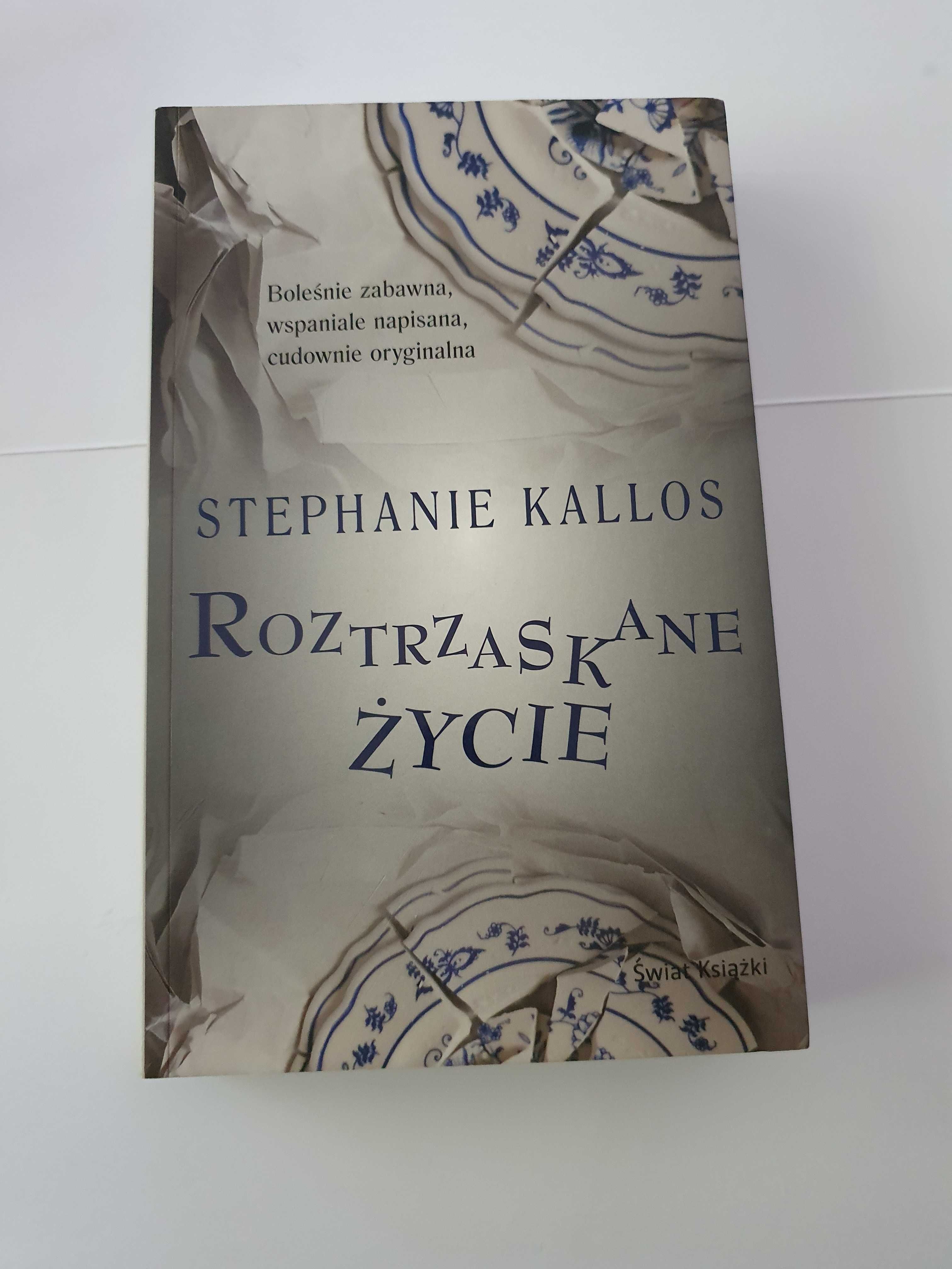 Roztrzaskane życie - Stephanie Kallos