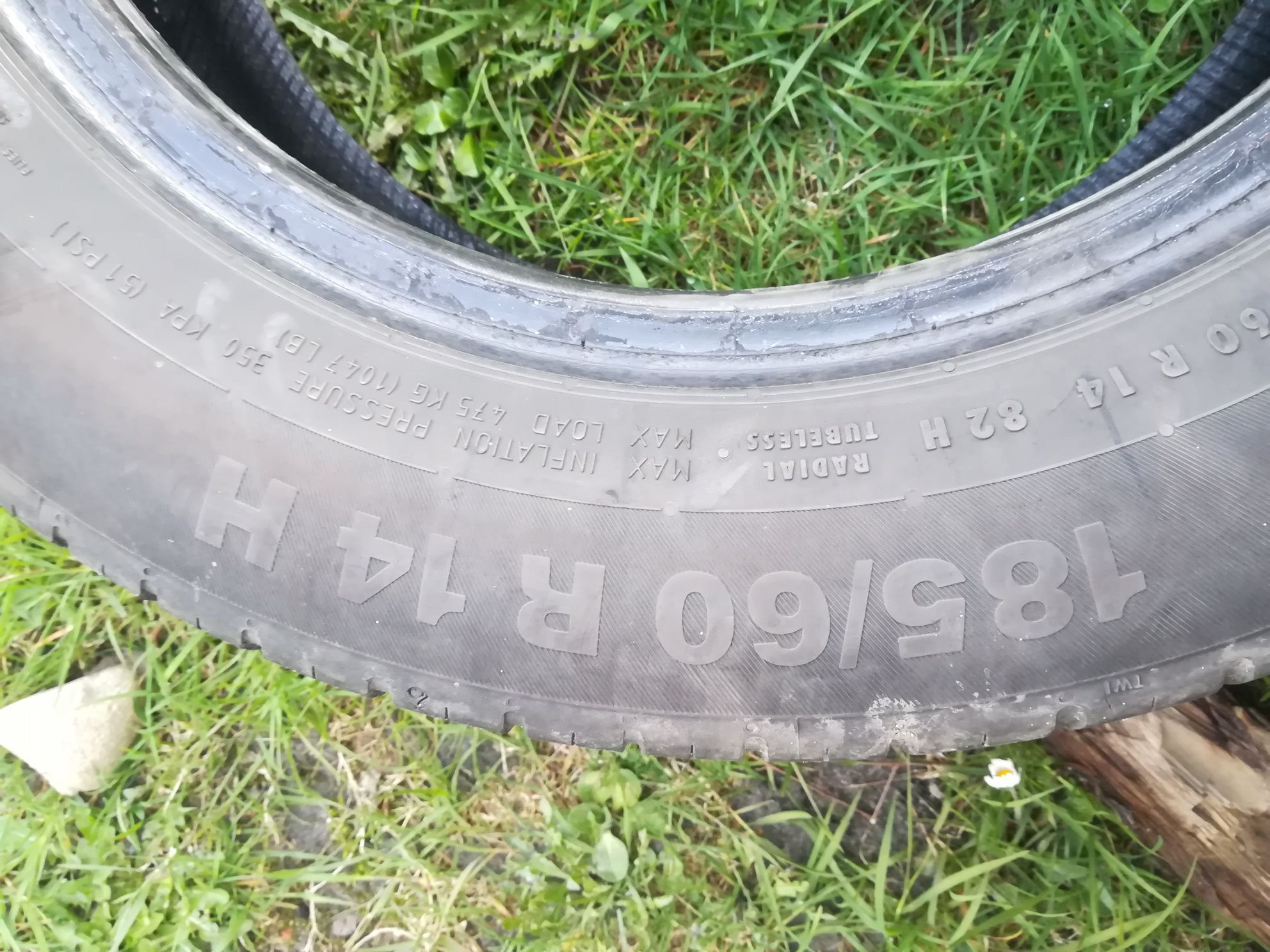 185/60 R14 Continental letnie + zimowe Dębica Frigo 2