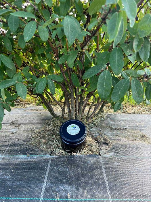 Джем/Варення  з жимолості