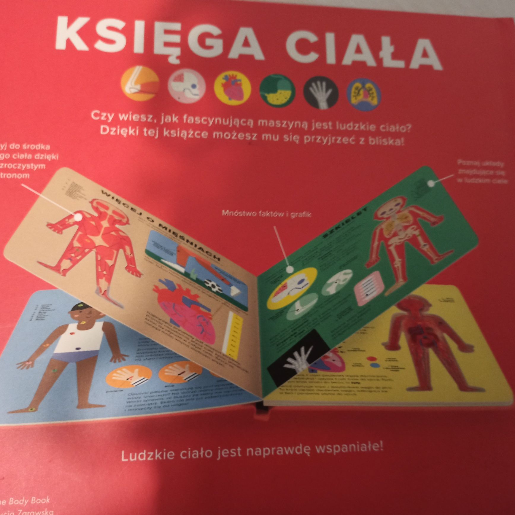 Księga ciała Wilga