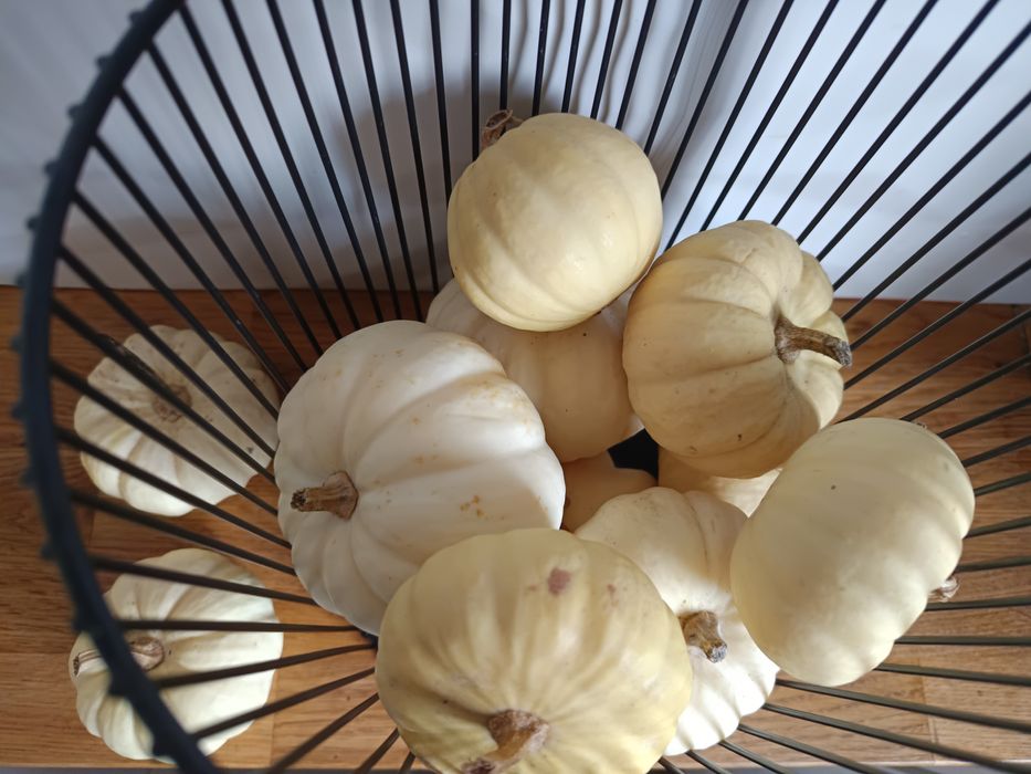 Dynie ozdobne mini białe