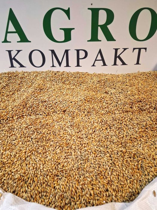 jęczmień, zboża paszowe , kukurydza , transport .