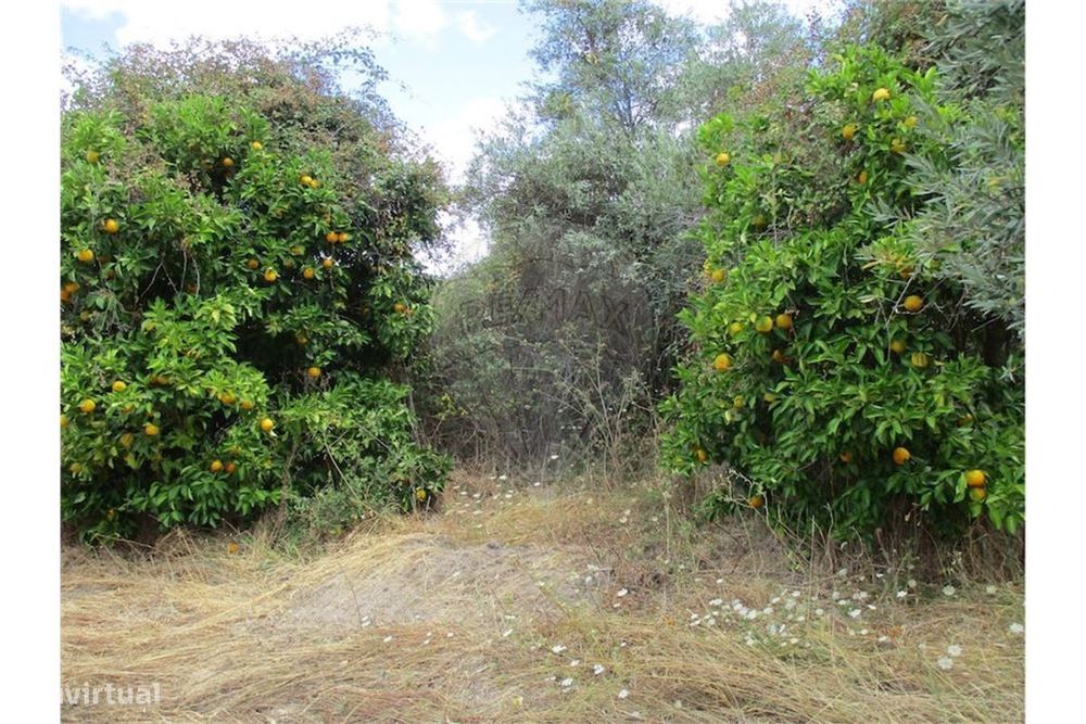 Quinta T0 para venda