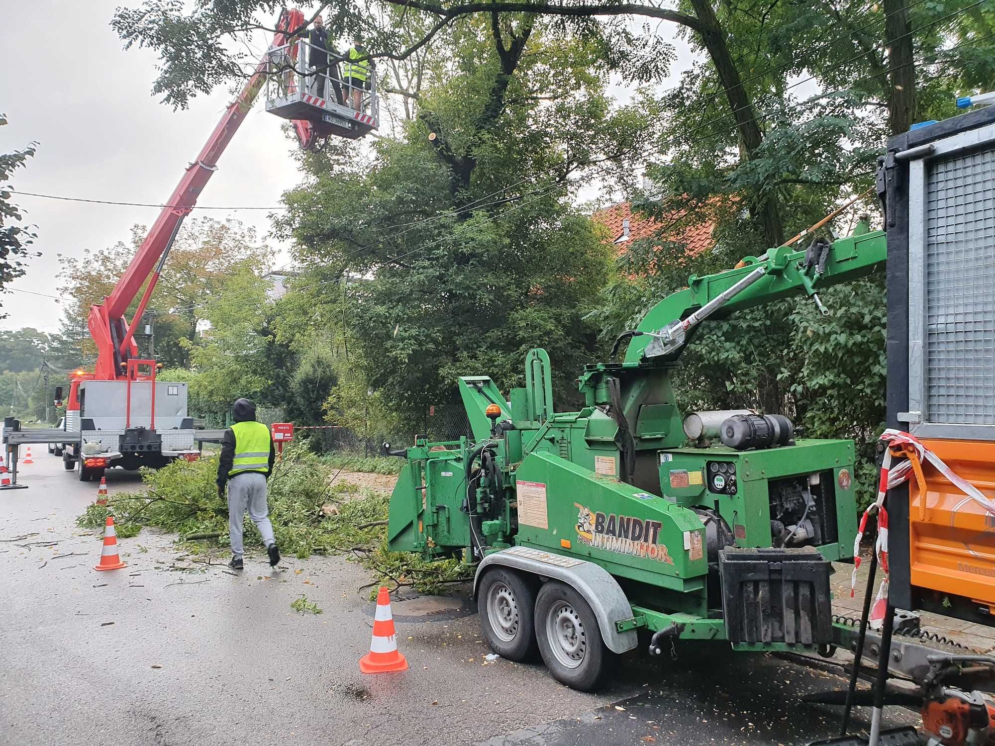 Wycinka drzew, rębak do gałęzi, frezowanie pni, mulczowanie