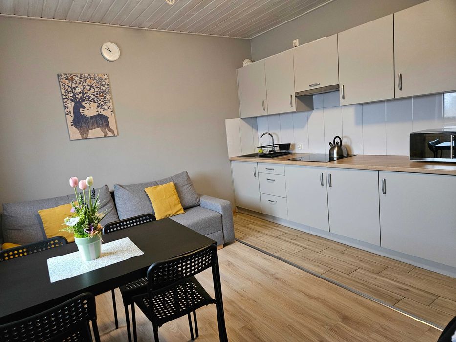 Powidz pokoje I apartamenty z aneksami kuchennymi