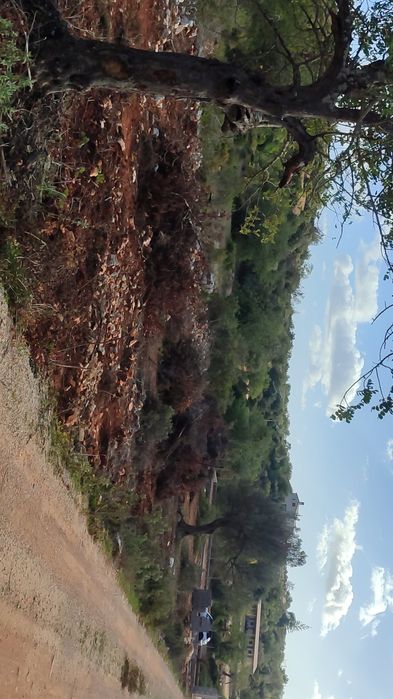 Terreno 1000m² Boliqueime 2 minutos de b125 e bp de Villamoura