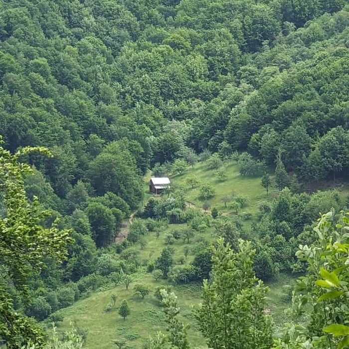 Відпочинок в Карпатах