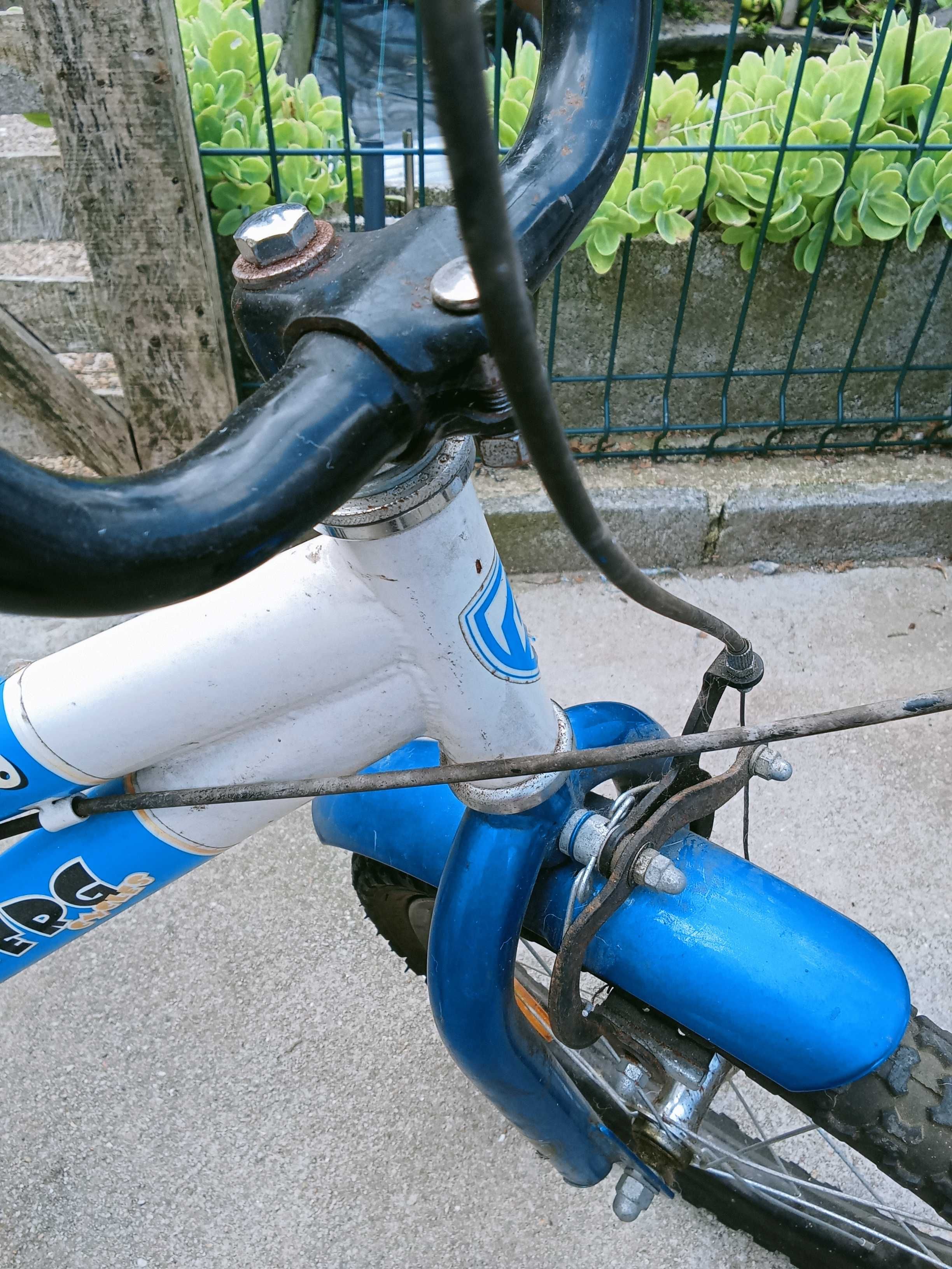 Bicicleta de criança - Roda 16