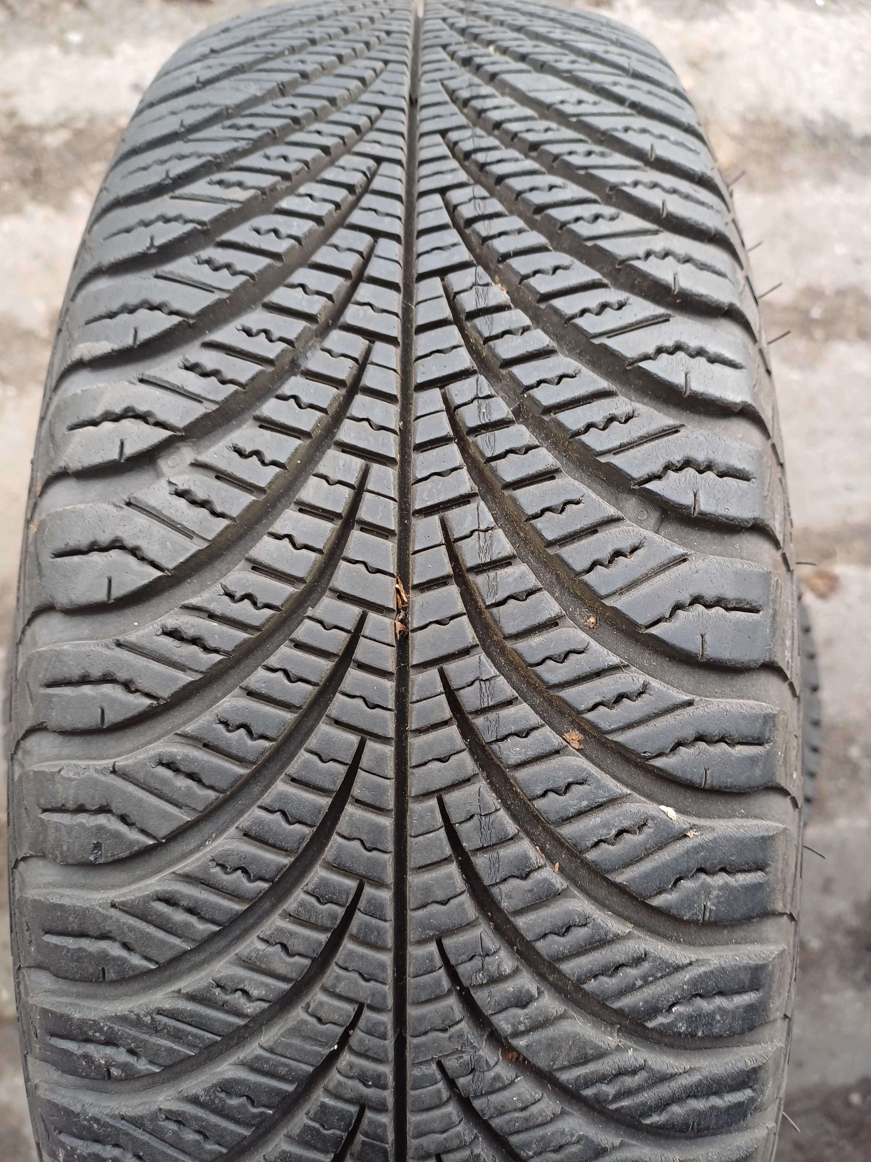 Goodyear Vector 4 Seasons Gen2 175/65 R14 82T 2017r