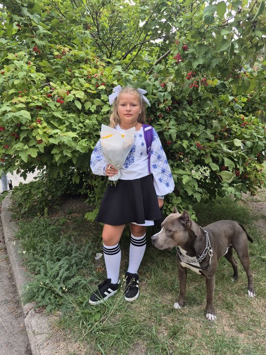 Стаф Річчі шукає наречену