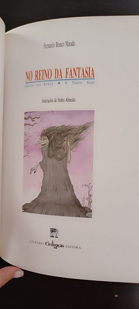 Livro No Reino da Fantasia. Usado