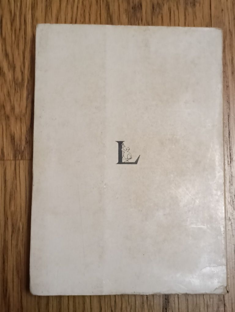 Livro O Filho do Baldaia