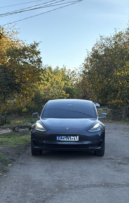Оренда Tesla Model 3 з водієм у Миколаєві