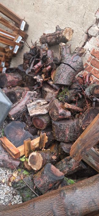 drewno dębowe dąb dębina AKACJA na opał wałki do kominka drzewo  KLON