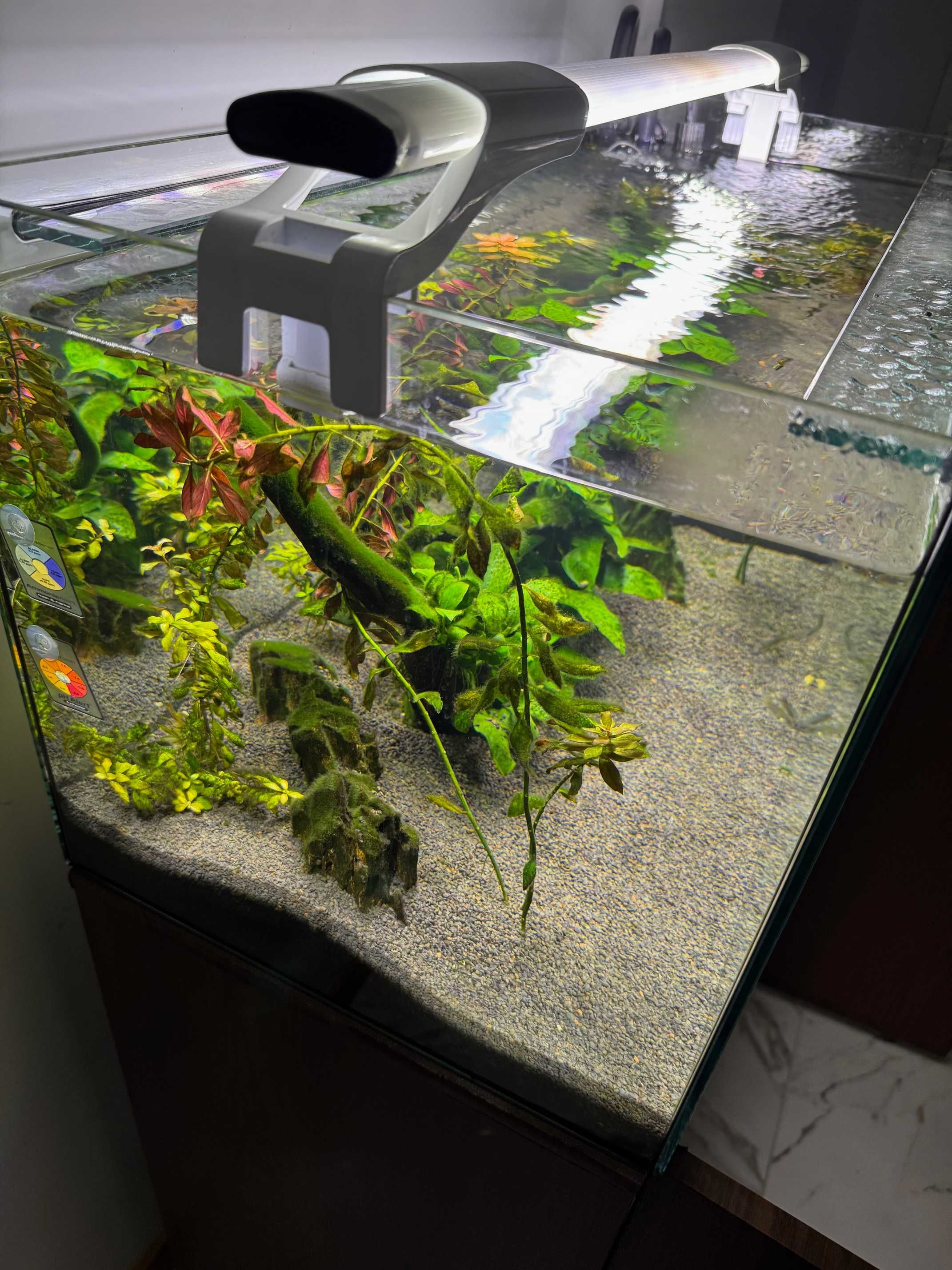 Aquario de 128 litros - Completo
