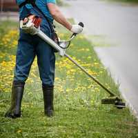 Limpeza de terreno/manutenção de quinta