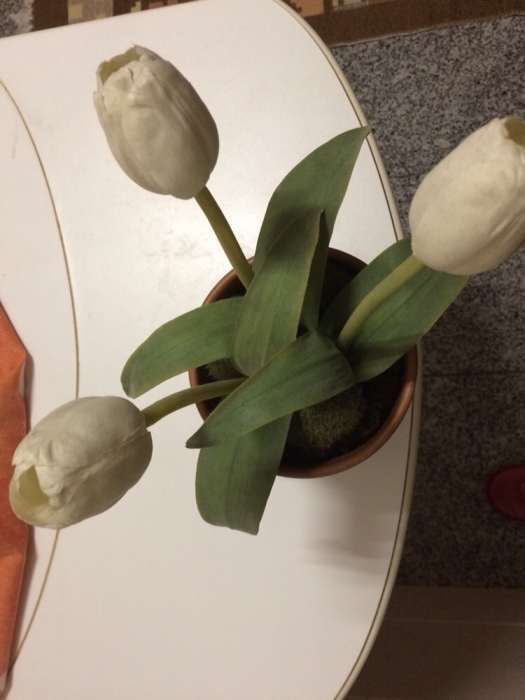 Vaso com tulipa artificial