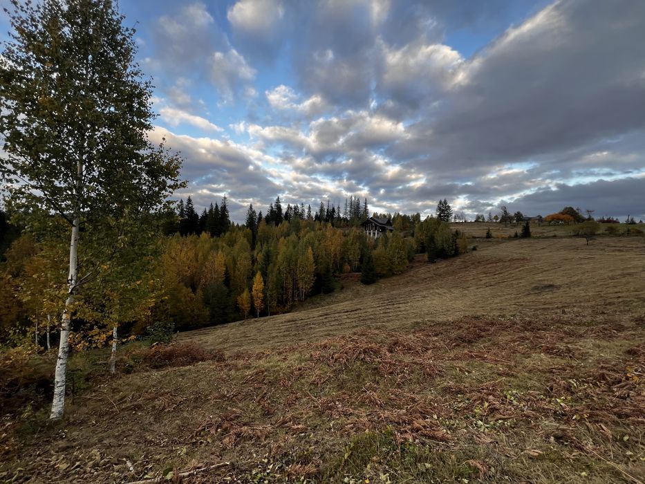 Продається 100 сотих в Микуличині!