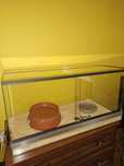 Sprzedam terrarium