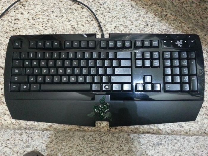 Teclado Raizer Arctosa