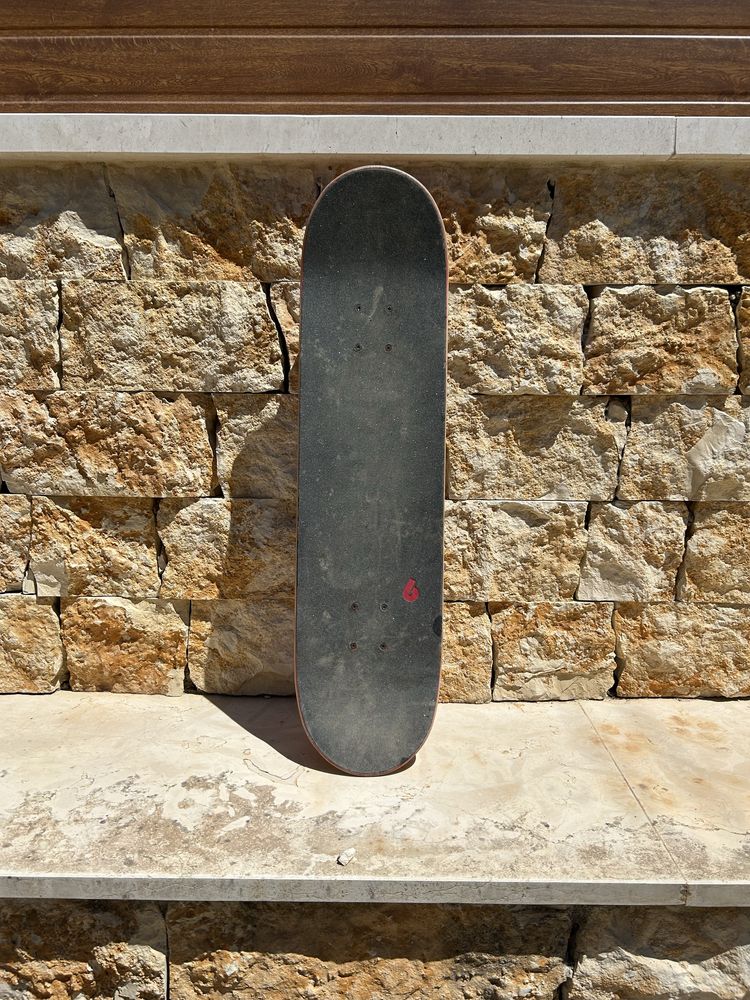 Skate Birdhouse / Tony Hawk